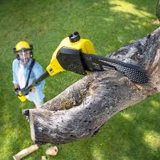 Lawn Drainage Solutions in Orange City, IA