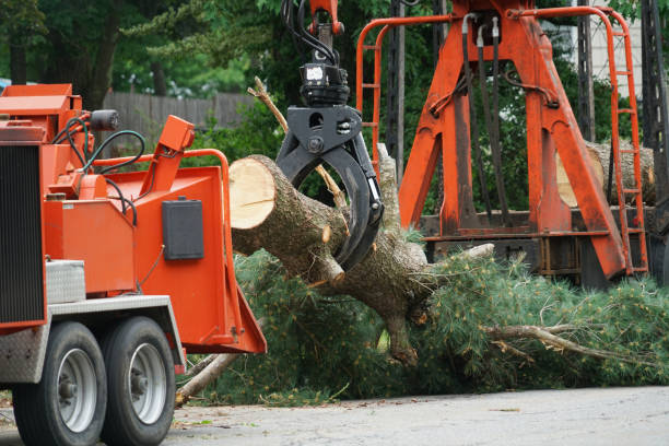 Mulching Services in Orange City, IA